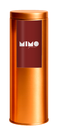 Modelo 2