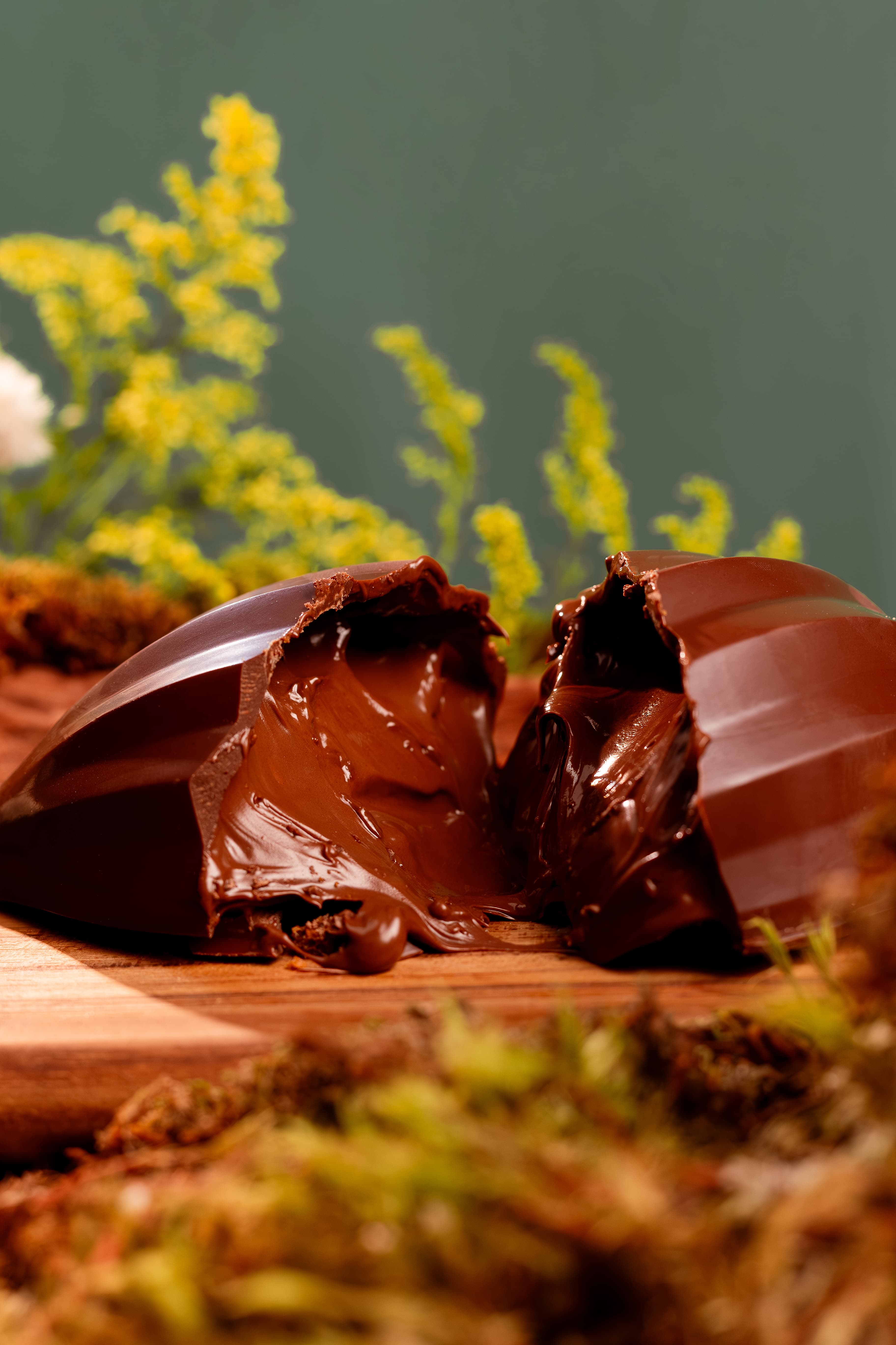 Imagem do produto Ovo de Corte